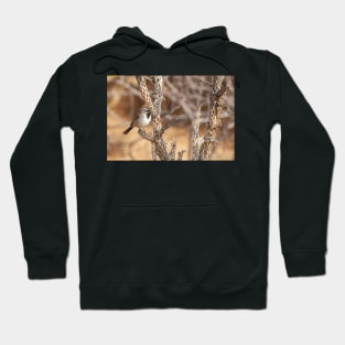 Black-Throated Sparrow Hoodie